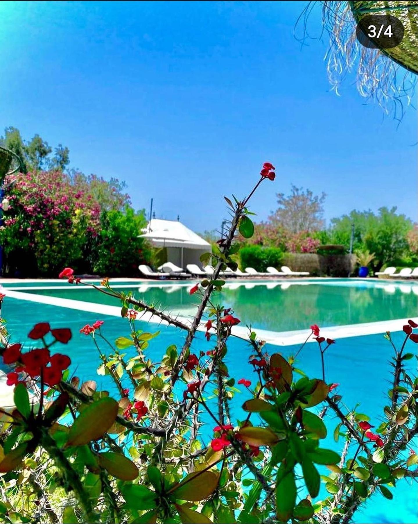 Hotel Les Jardins D Isis Marrakesch Exterior foto